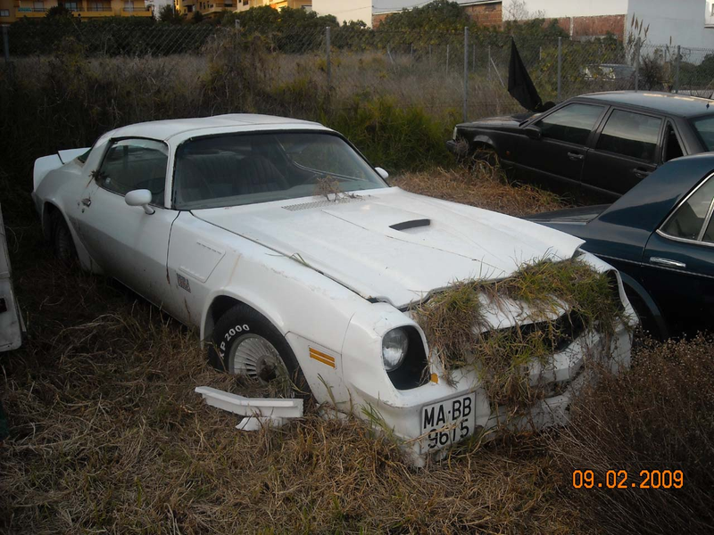 Illustration for article titled Mystery Nightmare Car Plus Bonus NHRA Pace Car Firebird Down On The Spanish Dirt Lot